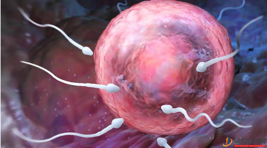 三代試管嬰兒移植后多久可以測到胎心？(圖1)