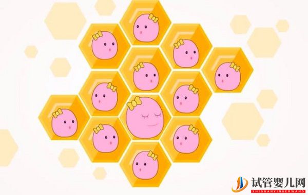 什么是試管嬰兒黃金時期(圖2) 什么是試管嬰兒黃金時期(圖1)