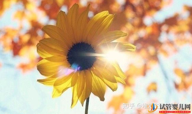 公立醫院試管嬰兒多少錢一次？一代二代三代費用明細(圖3)