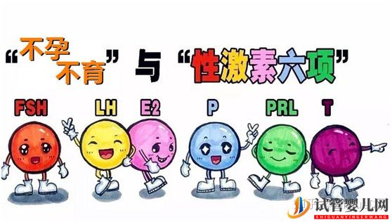 試管嬰兒_試管前看看你的雌性激素六項正常嗎(圖1)