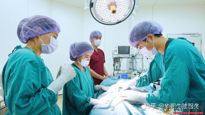 試管嬰兒費(fèi)用包含哪些方面(圖3)