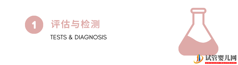 試管嬰兒步驟詳解(圖2)