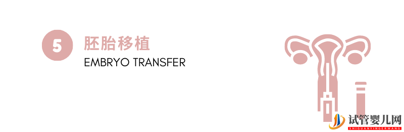 試管嬰兒步驟詳解(圖6)