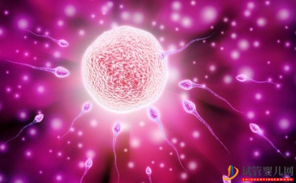 試管嬰兒手術(shù)費(fèi)用有哪些(圖1)