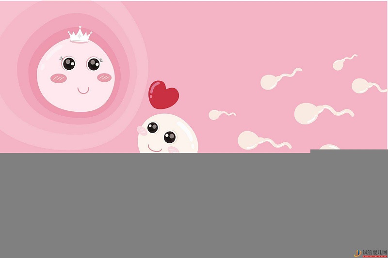 影響試管嬰兒的費用的因素有哪些？(圖2)