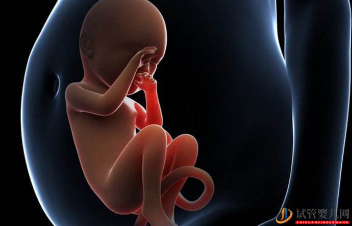 為何醫生大都不建議做“試管嬰兒”？無非是過程太辛酸(圖2)