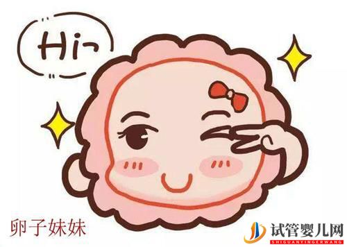 白城做試管嬰兒要取多少卵子？(圖1)