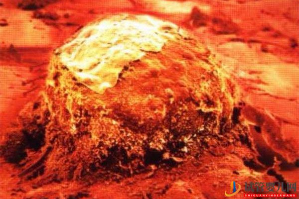 美國(guó)試管嬰兒移植專題-著床過程是怎樣的，如何提高妊娠率？(圖1)