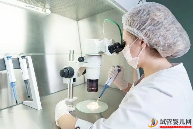 試管嬰兒的胚胎是怎么培育的？胚胎培養液有什么作用？(圖1)