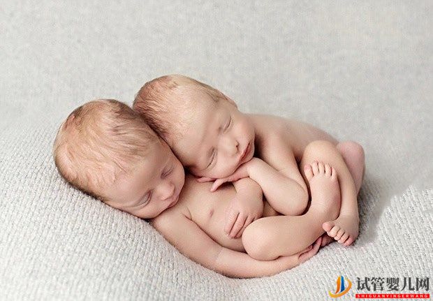 試管嬰兒的壽命、智力和普通嬰兒一樣嗎？(圖1)
