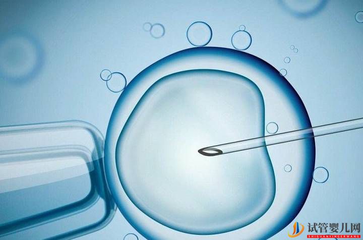 試管嬰兒跟普通嬰兒沒有區別？錯！不得不承認會有這3大差異(圖1)