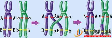 最全面的試管嬰兒介紹(圖4)