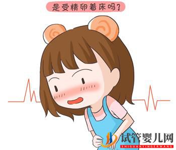 試管嬰兒胚胎移植后，肚子脹脹的是怎么一回事？(圖1)