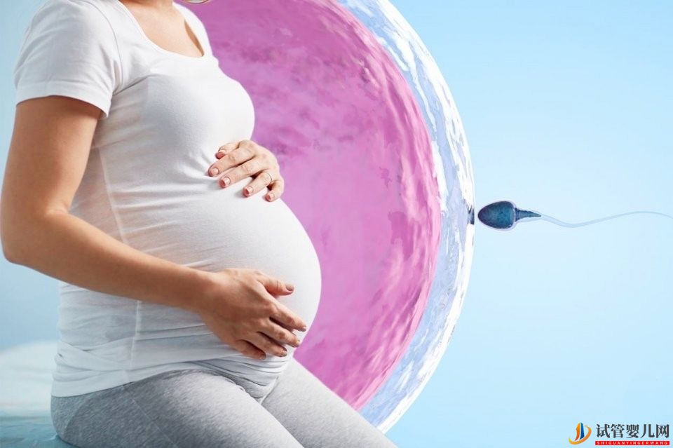 試管嬰兒胚胎移植之后，胚胎在做什么(圖1)