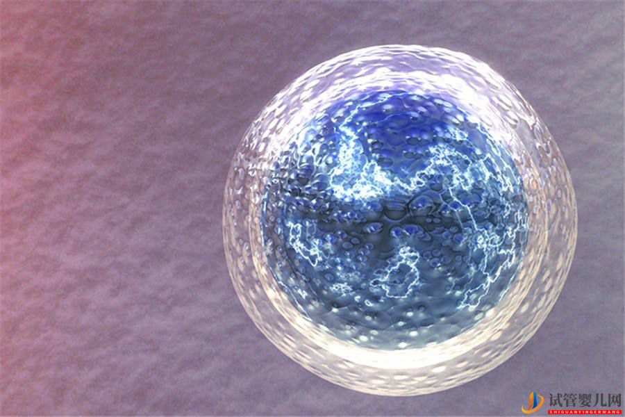 試管嬰兒取卵會不會導(dǎo)致提前衰老(圖1)