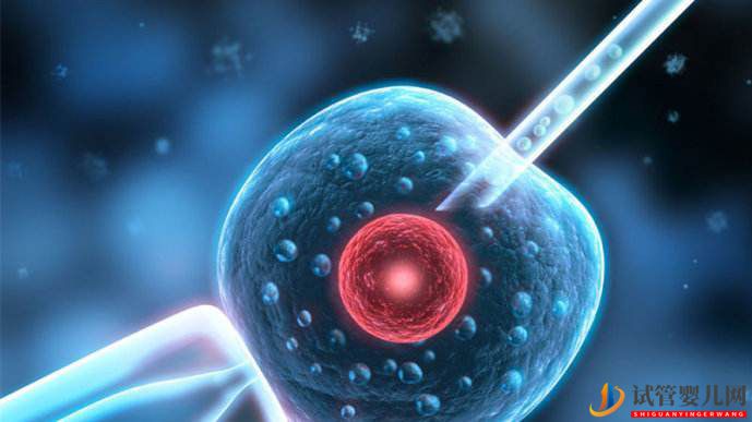試管嬰兒取卵痛苦嗎？(圖1)
