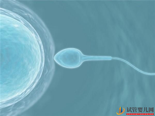 試管嬰兒是怎樣造出來的(圖1)