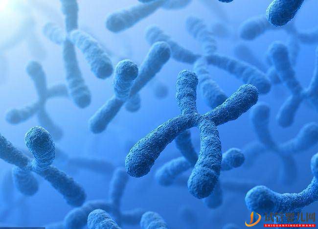 做試管嬰兒可以刷醫保嗎？實際情況可不簡單(圖1)