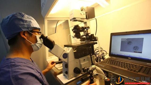 做試管嬰兒前檢查項目什么作用(圖1)