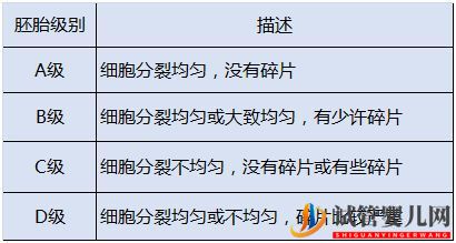 俄羅斯試管嬰兒怎么評估胚胎健康(圖1)