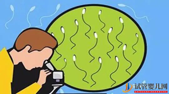 如何取精及注意事項(圖2)