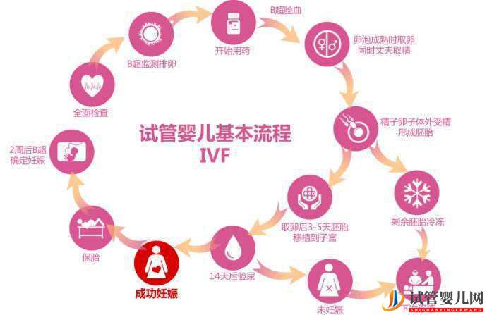 人工授精和試管嬰兒的區別(圖1)