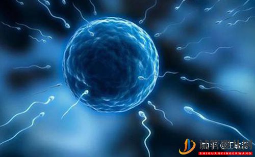 男性少精弱精是先治療還是直接做試管嬰兒(圖1)