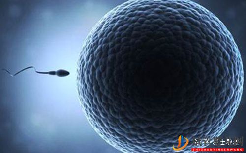 男性少精弱精是先治療還是直接做試管嬰兒(圖2)