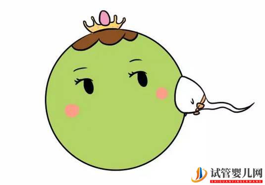 精卵不結合該怎么做試管嬰兒？(圖1)