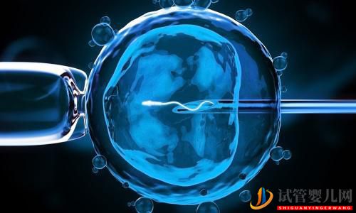 教你看懂試管嬰兒是怎么從卵巢中取卵的?(圖2) 教你看懂試管嬰兒是怎么從卵巢中取卵的?(圖1)