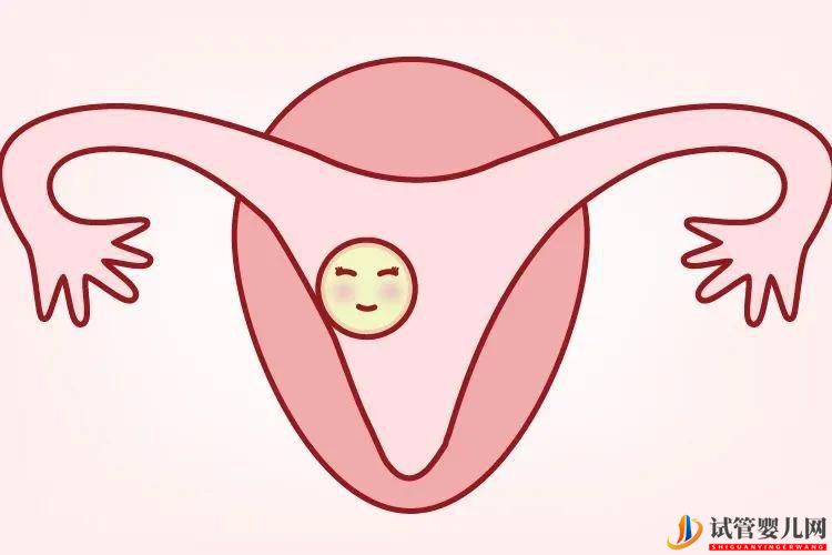 卵巢早衰能做泰國(guó)第三代試管嬰兒?jiǎn)?圖1)