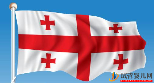 中國新生試管兒超20萬,格魯吉亞試管火爆原因揭秘(圖1)