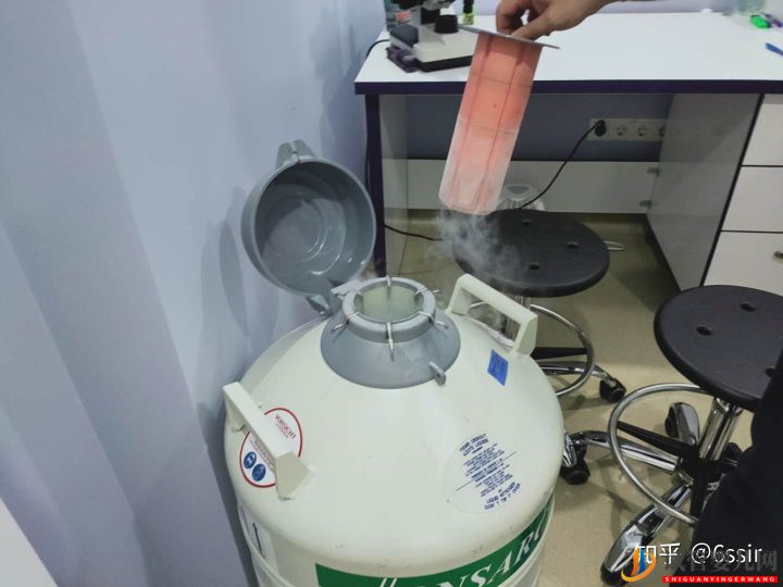 我的格魯吉亞試管嬰兒經歷9---接娃路(下)(圖5)