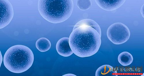 格魯吉亞MMC_過了45歲的女性做試管嬰兒(圖1)