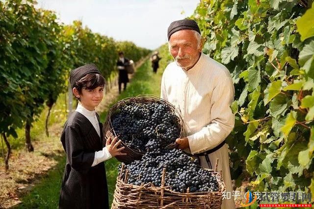 格魯吉亞試管二三事(圖3)