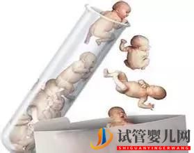 三代美國試管嬰兒有哪些區別(圖2)