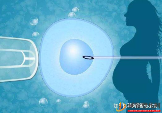 格魯吉亞試管嬰兒成功率如何(圖1) 格魯吉亞試管嬰兒成功率如何(圖1)