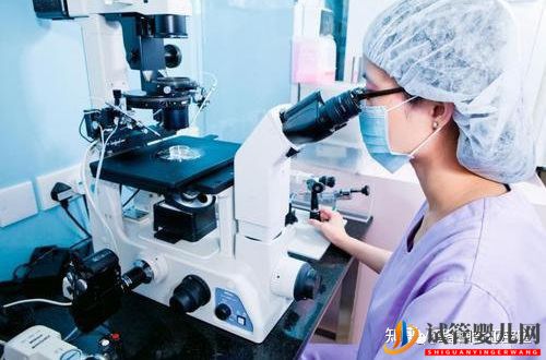 格魯吉亞試管嬰兒成功率如何(圖3) 格魯吉亞試管嬰兒成功率如何(圖2)