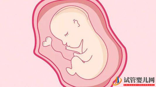 格魯吉亞試管嬰兒的8大誤區,你有過同樣的擔心嗎(圖2)