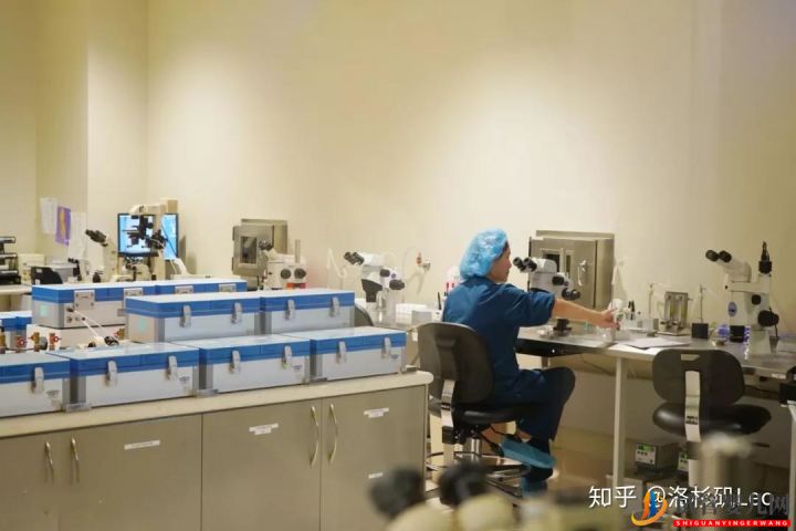 為什么選擇美國試管嬰兒_美國試管嬰兒到底有哪些優勢(圖3)