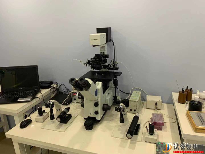 格魯吉亞試管嬰兒經(jīng)歷3-決定前往(圖1) 格魯吉亞試管嬰兒經(jīng)歷3-決定前往(圖1)