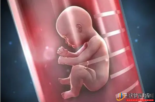 你的心態決定試管嬰兒的成敗-美國試管嬰兒專家(圖12)