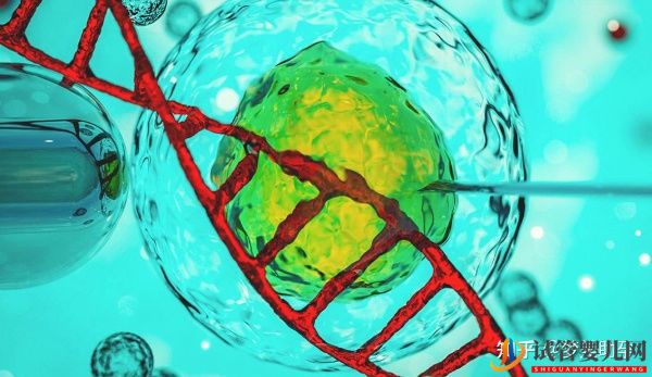 你的心態決定試管嬰兒的成敗-美國試管嬰兒專家(圖14)