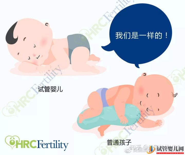 原來美國試管是這樣的美國試管(圖9)