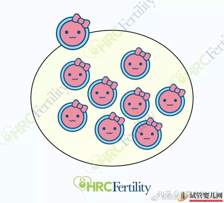 原來美國試管是這樣的美國試管(圖11)