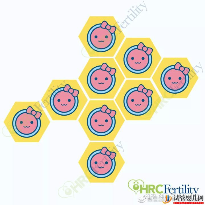 原來美國試管是這樣的美國試管(圖10)