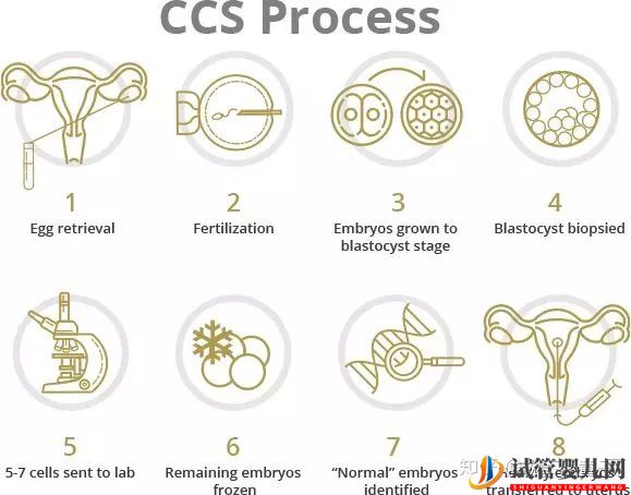 如何選擇一個美國試管嬰兒好醫院(圖3)