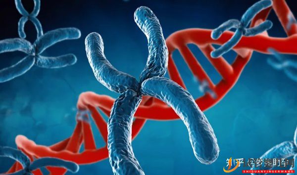 美國試管專家講解人工授精和試管嬰兒的區別(圖12)