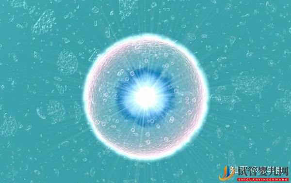 美國試管嬰兒專家_年齡越大越不易生娃,如何未雨綢(圖4)