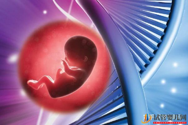 美國試管嬰兒哪家醫院好_優勢有哪些(圖5)